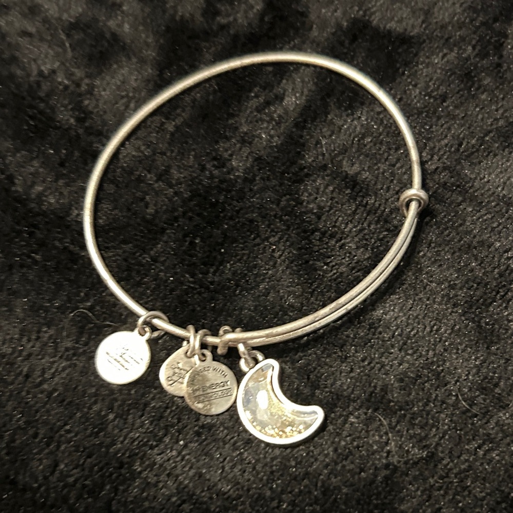 Alex and Ani 14 assortment Silver Charm Bangle Bracelets